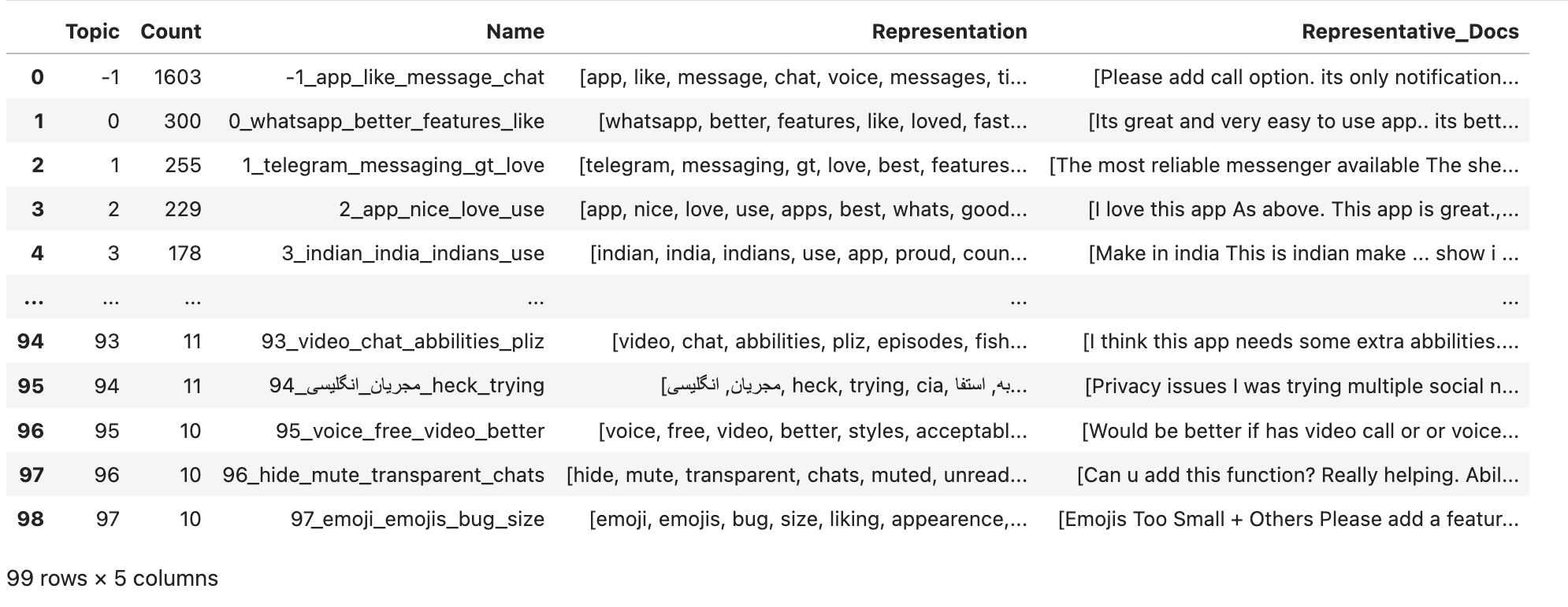 bertopic output